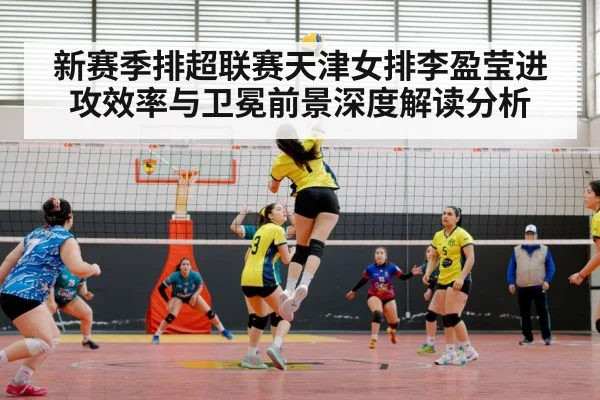 volleyball match arena